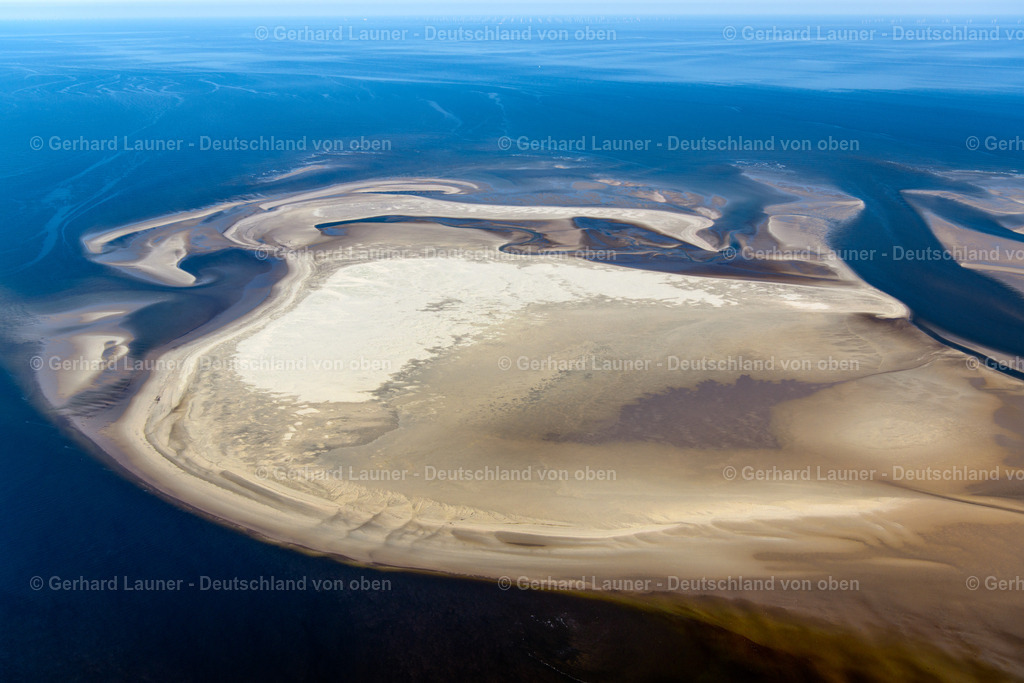 3801502 | Kachelotplate, Memmert, Juist, Nationalpark Niedersächsisches Wattenmeer