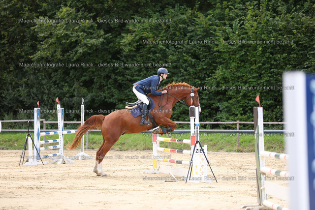 HG9A9049 | laurarinckfotografie - Realisiert mit Pictrs.com