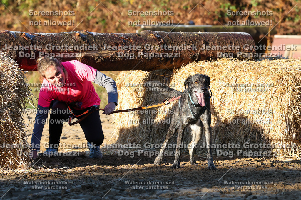 Dog Paparazzi - Strongdog 10-25-848 | Dog Paparazzi Jeanette Grottendiek Fotografie & Videografie - Realisiert mit Pictrs.com