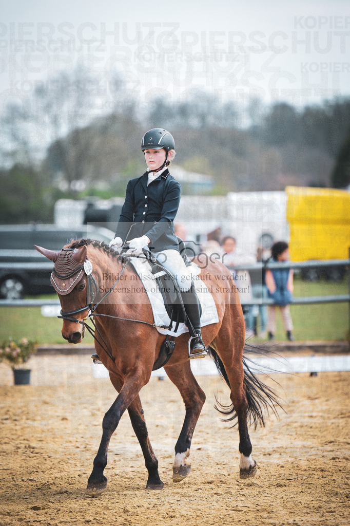 DOS_7705 | Entdecke hochwertige Reitturnierfotos von Foto Oger. Professionell, emotional und authentisch – jetzt Lieblingsmomente im Shop bestellen.Deutschlandweite Turnierfotografie. - Realisiert mit Pictrs.com