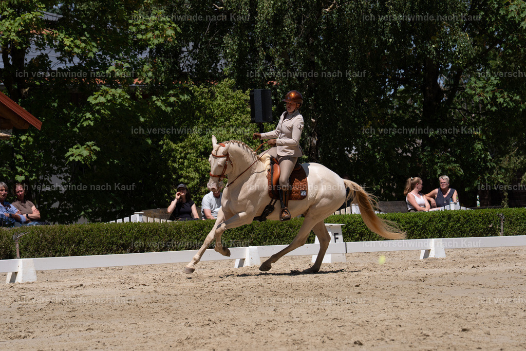 WS_DR_69_sinafilmart_IN02555 | working equitationturnier fotograf videograf stoibphotography marixx film working equitation deutschland reitsport turnierfotografie eventfotografie equestrian events