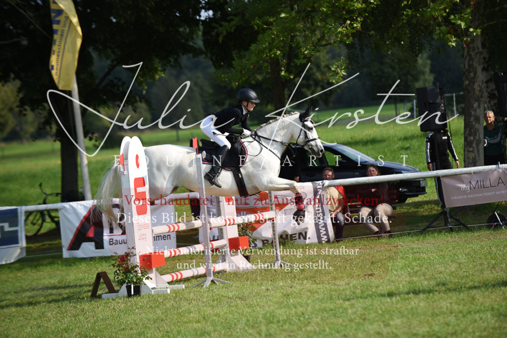 DSC_8656 | Pferde- und Turnierfotografie in Westsachsen. Pferdeportraits, Auftragszeichnungen und intuitive Kunst.