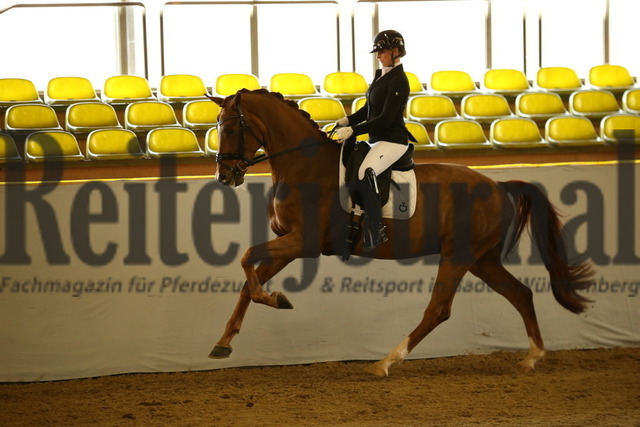 Marbach_2022_Prfg.Nr.01_Gert-Gussmann-Cup_Finale_Ines Knoll_Secret Escape 6 (10) | Alle Fotos der Reiterjournal Fotografin Doris Matthaes im Reiterjournal Online-Fotoshop. - Realisiert mit Pictrs.com