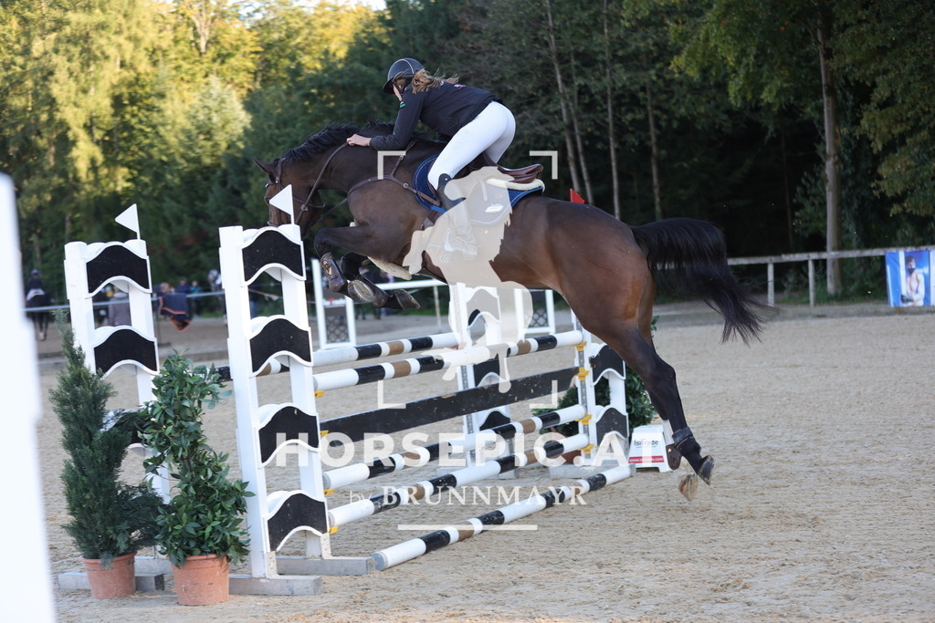 0P6A1570 | Willkommen bei Brunnmayr - Design & Fotografie – Ihrem Spezialisten für Reitturniere und Pferdeveranstaltungen in Oberösterreich, Salzburg und Bayern! Seit über 17 Jahren sind wir leidenschaftlich dabei.