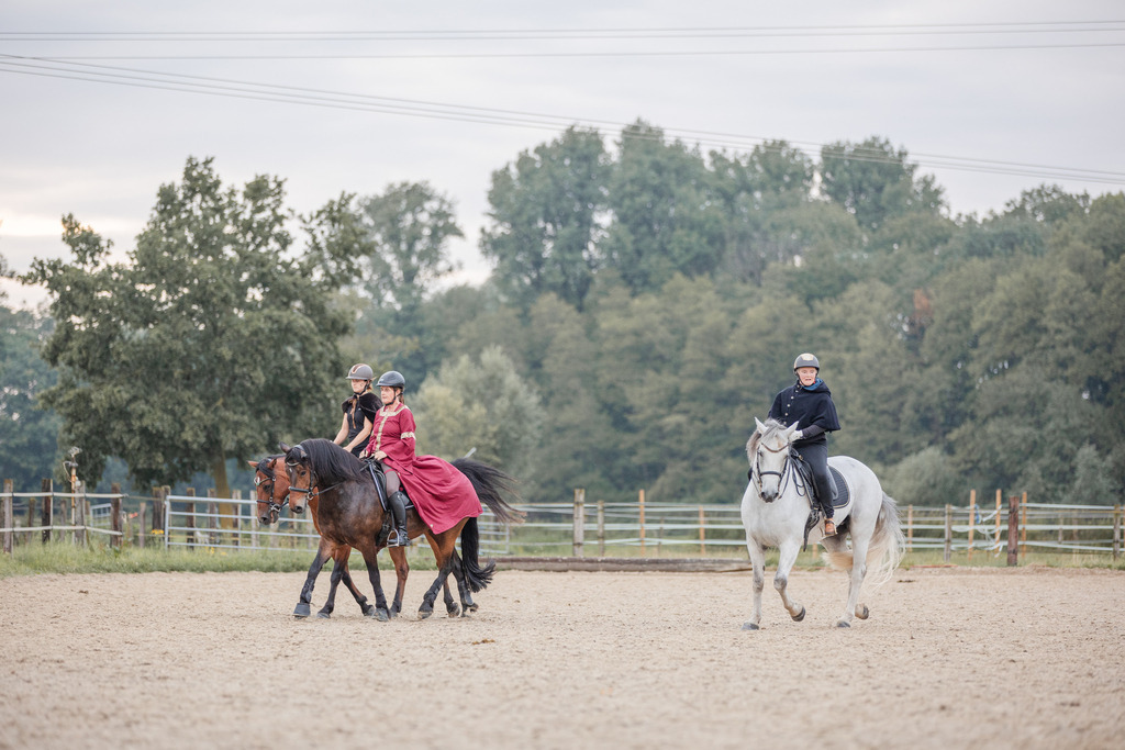 846A0260 | fotosleben - Realizado com Pictrs.com