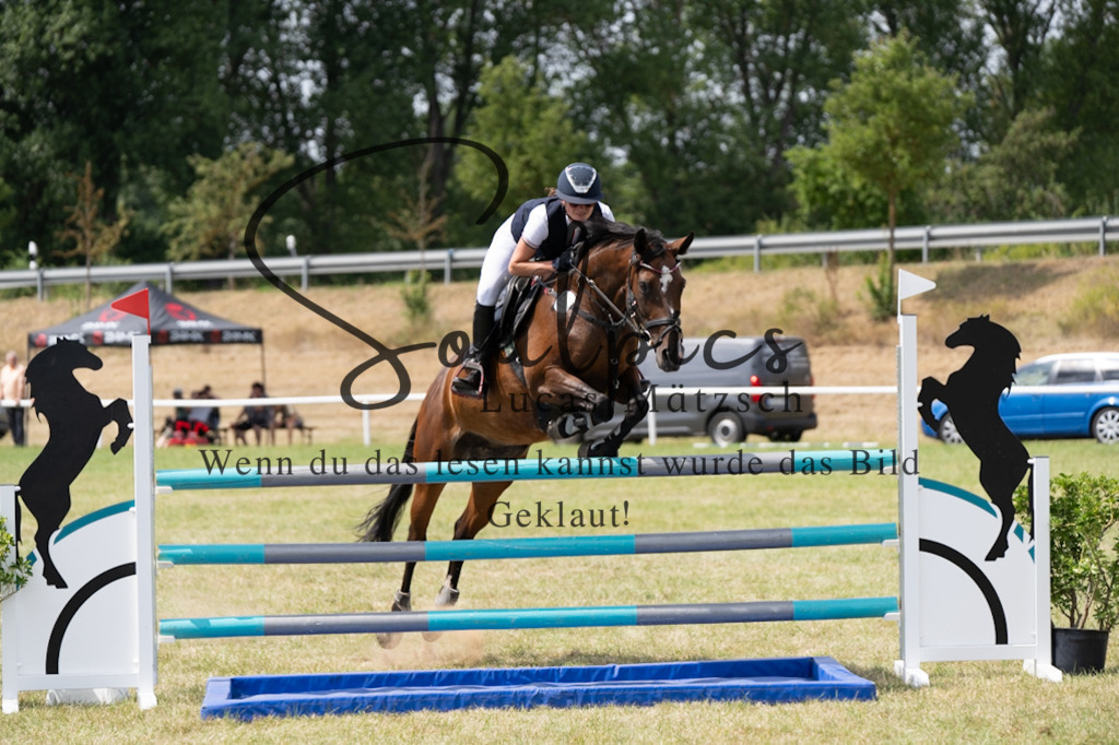 A7V01968 | Pferdefotograf