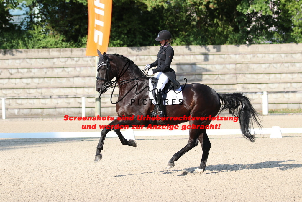 IMG_8839 | lmwpictures - Realisiert mit Pictrs.com