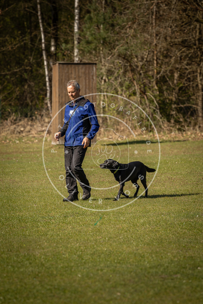 Pfotenfotografie_DV3A0364 | Hundefotografie, Tierfotograf, Pfotenfotografie, Fotoshooting Hund, Hunde Portrait, Hundesport, Hundeportraits, Heideshooting, Hunde, Sportfotograf, Hundefotograf, Turnierhundsport, THS,  - Realisiert mit Pictrs.com