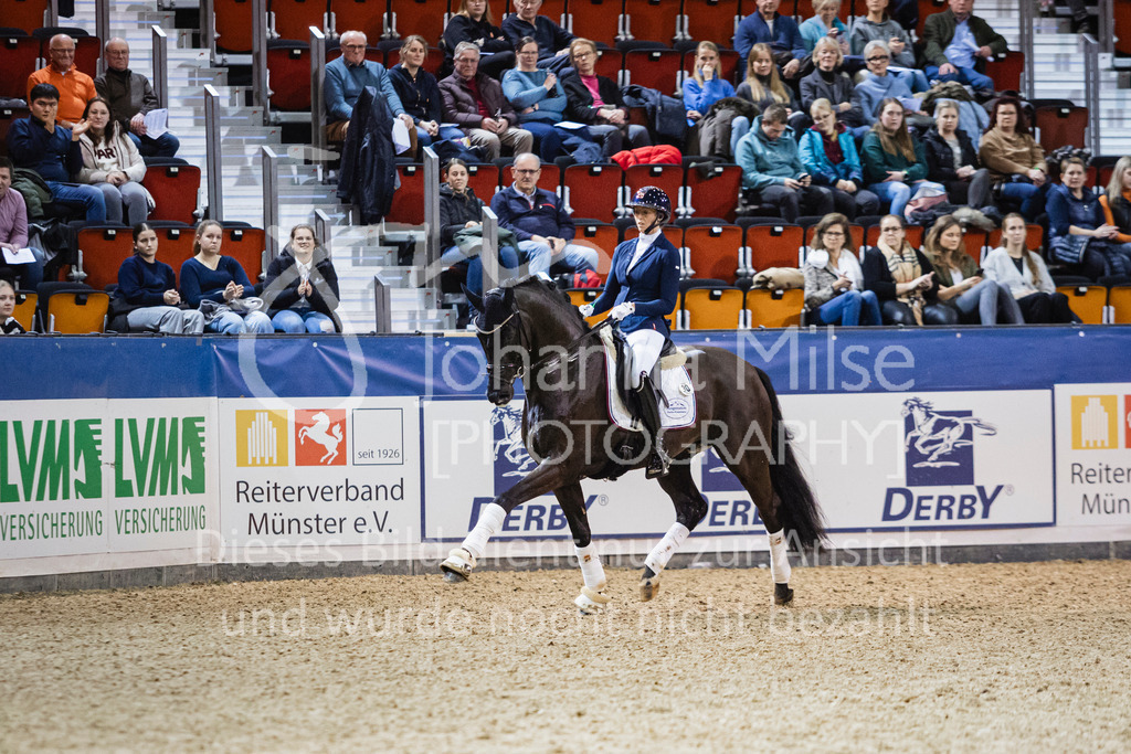 250108_Muenster_Hengstpräsentation-164 | Deine schönsten Turniermomente als professionelle Fotos! Entdecke hochwertige Pferdesport-Fotografie im Online-Shop. Jetzt Fotos finden & bestellen!
