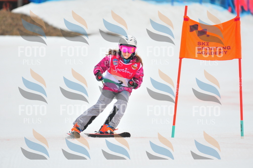 C0389 | holidayphoto