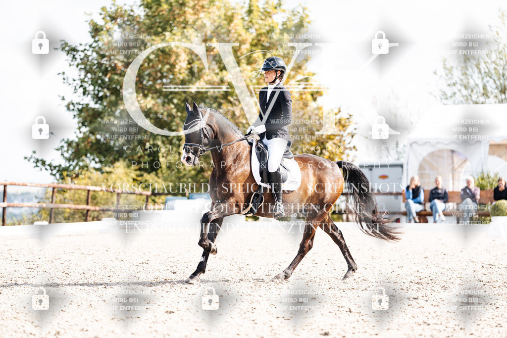 CK902104 | Turnierfotografie Pferdefotografie Trier Rheinland-Pfalz Pferdesport Reitsport Tierfotografie Sportfotografie Pferdevideo Pferdevideografie Equestrianvideography equestrianphotography  - Realisiert mit Pictrs.com