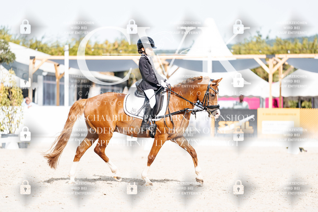 CK905252 | Turnierfotografie Pferdefotografie Trier Rheinland-Pfalz Pferdesport Reitsport Tierfotografie Sportfotografie Pferdevideo Pferdevideografie Equestrianvideography equestrianphotography  - Realisiert mit Pictrs.com