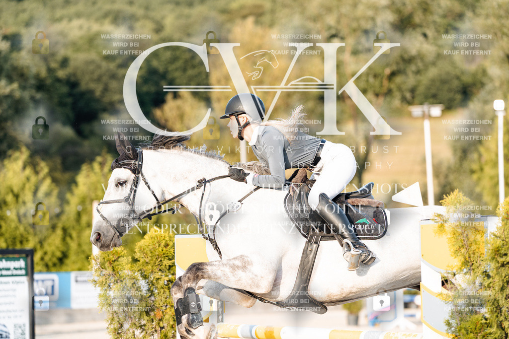 CK900916 | Turnierfotografie Pferdefotografie Trier Rheinland-Pfalz Pferdesport Reitsport Tierfotografie Sportfotografie Pferdevideo Pferdevideografie Equestrianvideography equestrianphotography  - Realisiert mit Pictrs.com
