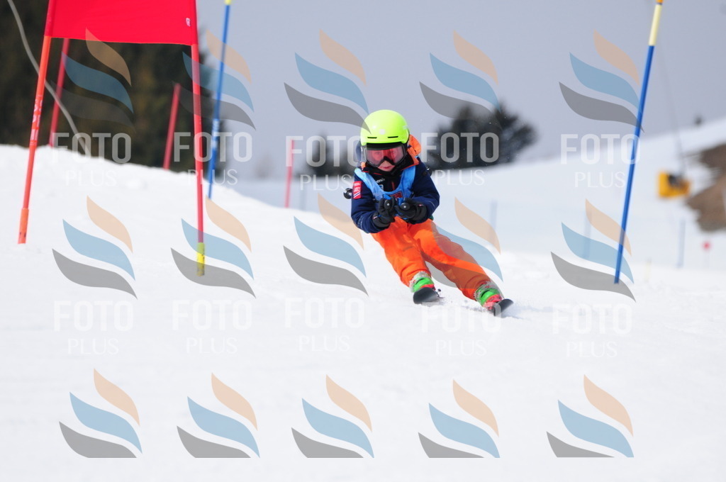 A3829 | holidayphoto