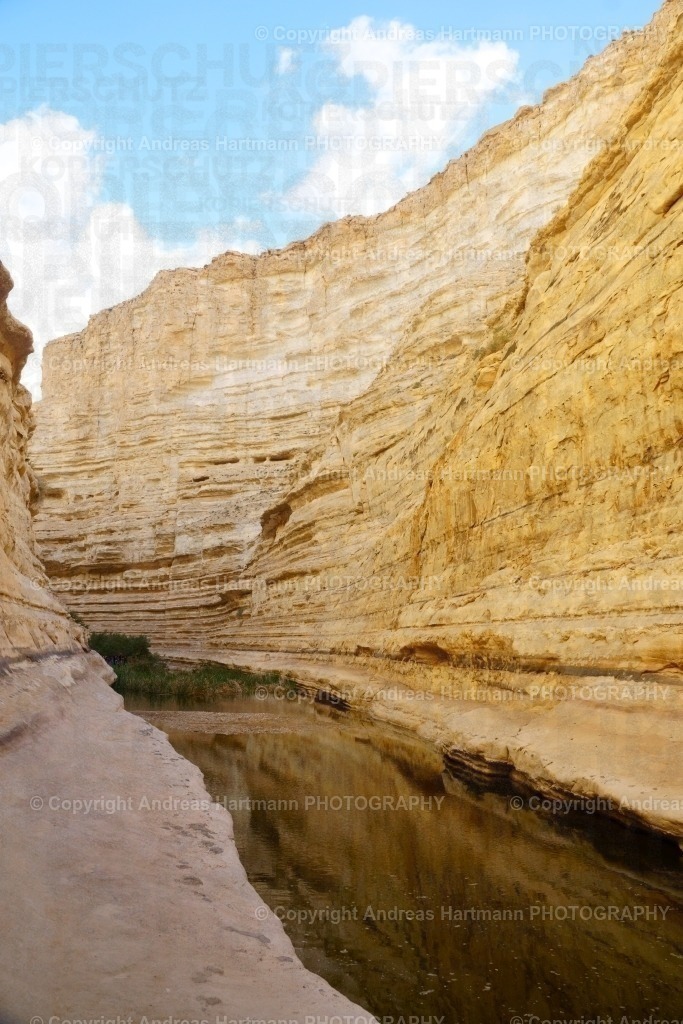 See Avdatschlucht in der Wüste Negev | See Avdatschlucht in der Wüste Negev - Realisiert mit Pictrs.com