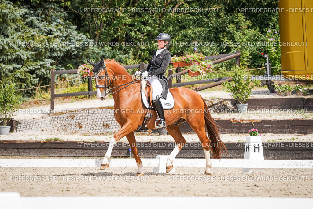 DSC06419 | Pferdegrafie