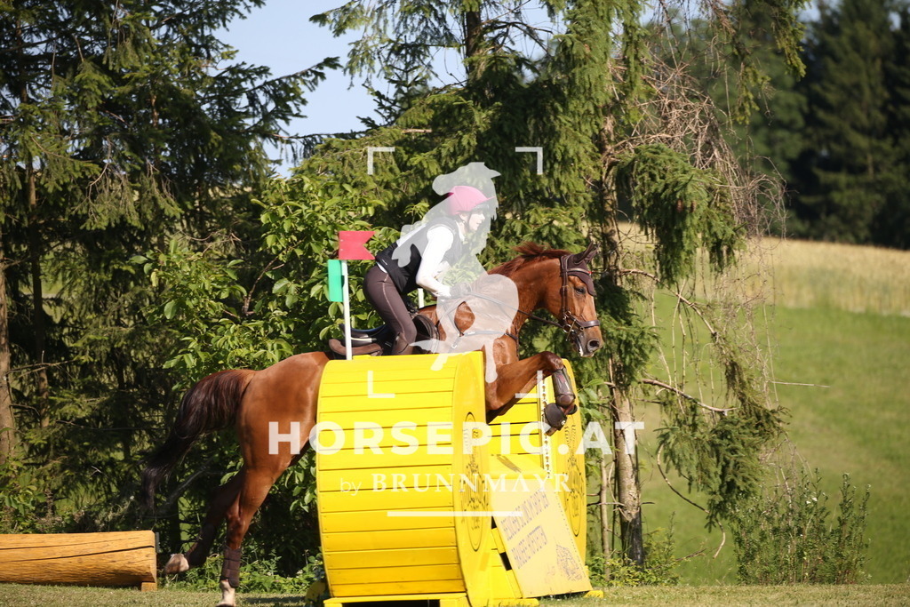 DL2Q2180 | Willkommen bei Brunnmayr - Design & Fotografie – Ihrem Spezialisten für Reitturniere und Pferdeveranstaltungen in Oberösterreich, Salzburg und Bayern! Seit über 17 Jahren sind wir leidenschaftlich dabei.