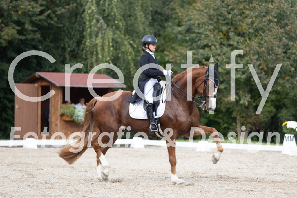 IMG_4729 | Creatify Fotografie