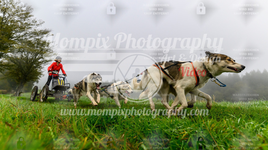 MompixPhotography_20TSB_E5_Kart-6 | PayLife