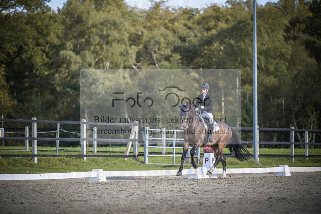 DOS_4802 | Entdecke hochwertige Reitturnierfotos von Foto Oger. Professionell, emotional und authentisch – jetzt Lieblingsmomente im Shop bestellen.Deutschlandweite Turnierfotografie. - Realisiert mit Pictrs.com