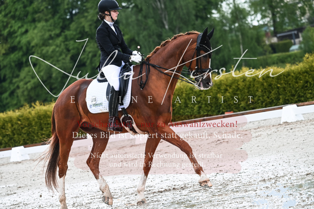 DSC_4269 | Pferde- und Turnierfotografie in Westsachsen. Pferdeportraits, Auftragszeichnungen und intuitive Kunst.