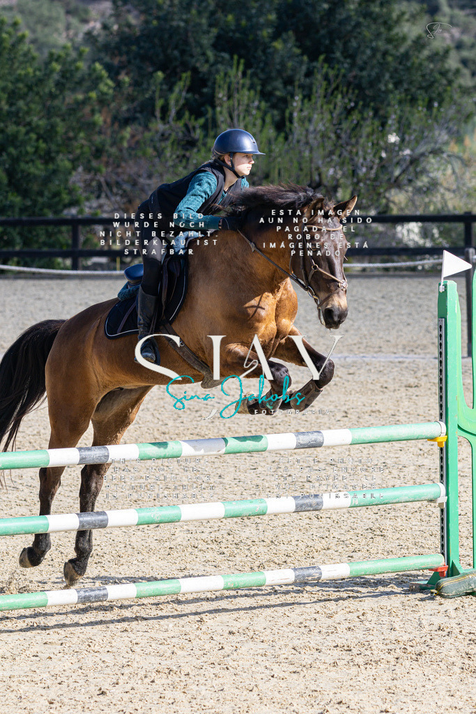 IMG_5406 | s-jay-photography - Realisiert mit Pictrs.com