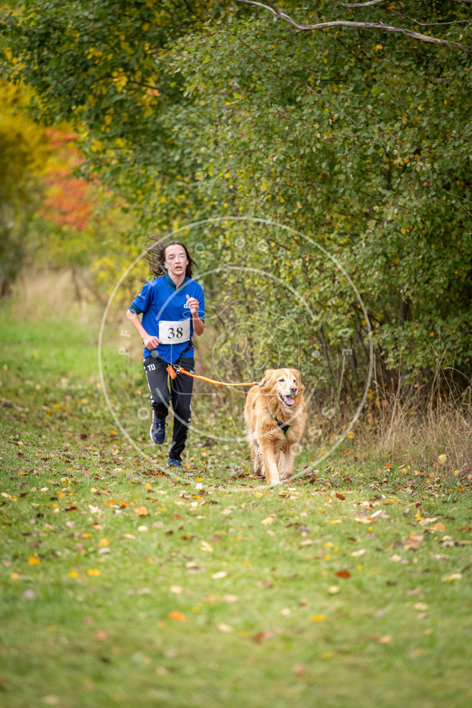 Pfotenfotografie_DV3A2228 | Hundefotografie, Tierfotograf, Pfotenfotografie, Fotoshooting Hund, Hunde Portrait, Hundesport, Hundeportraits, Heideshooting, Hunde, Sportfotograf, Hundefotograf, Turnierhundsport, THS,  - Realisiert mit Pictrs.com