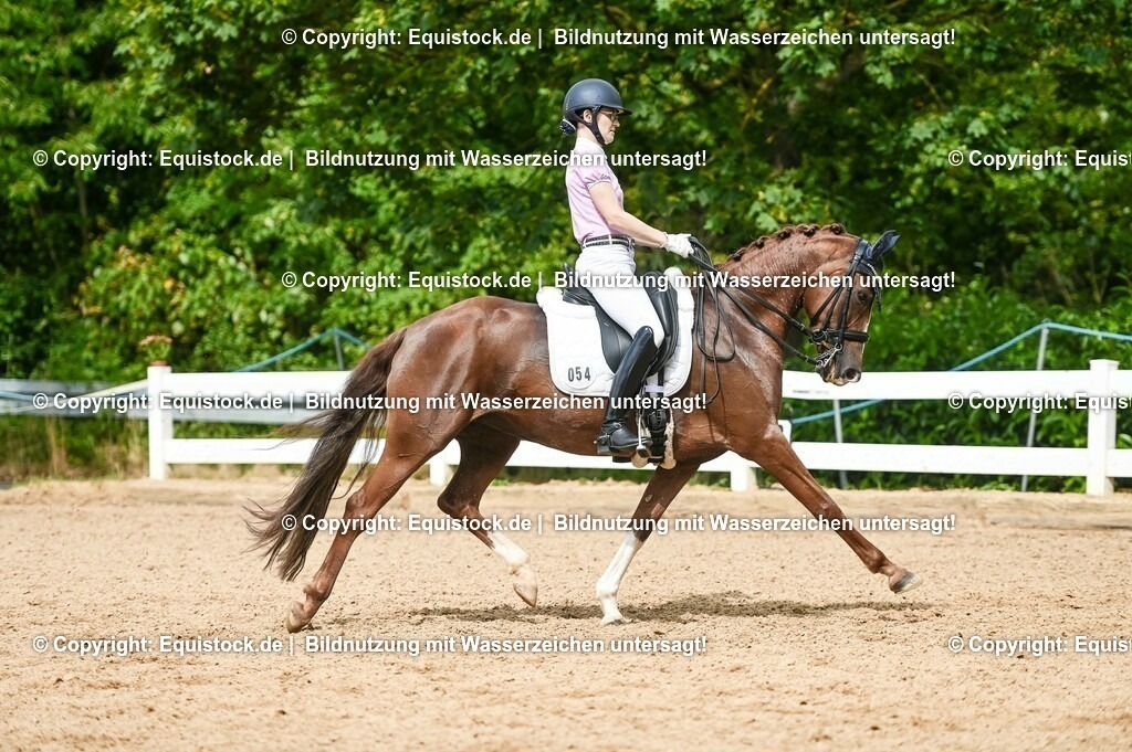 20230716_01_Dressurprüfung Kl.M_0401 | equistock