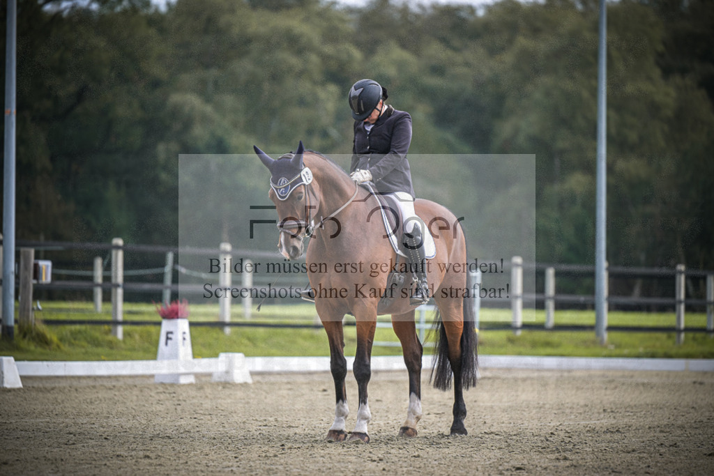 DOS_B475 | Entdecke hochwertige Reitturnierfotos von Foto Oger. Professionell, emotional und authentisch – jetzt Lieblingsmomente im Shop bestellen.Deutschlandweite Turnierfotografie. - Realisiert mit Pictrs.com