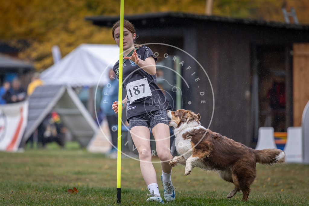 Pfotenfotografie_DV3A9813 | Hundefotografie, Tierfotograf, Pfotenfotografie, Fotoshooting Hund, Hunde Portrait, Hundesport, Hundeportraits, Heideshooting, Hunde, Sportfotograf, Hundefotograf, Turnierhundsport, THS,  - Realisiert mit Pictrs.com