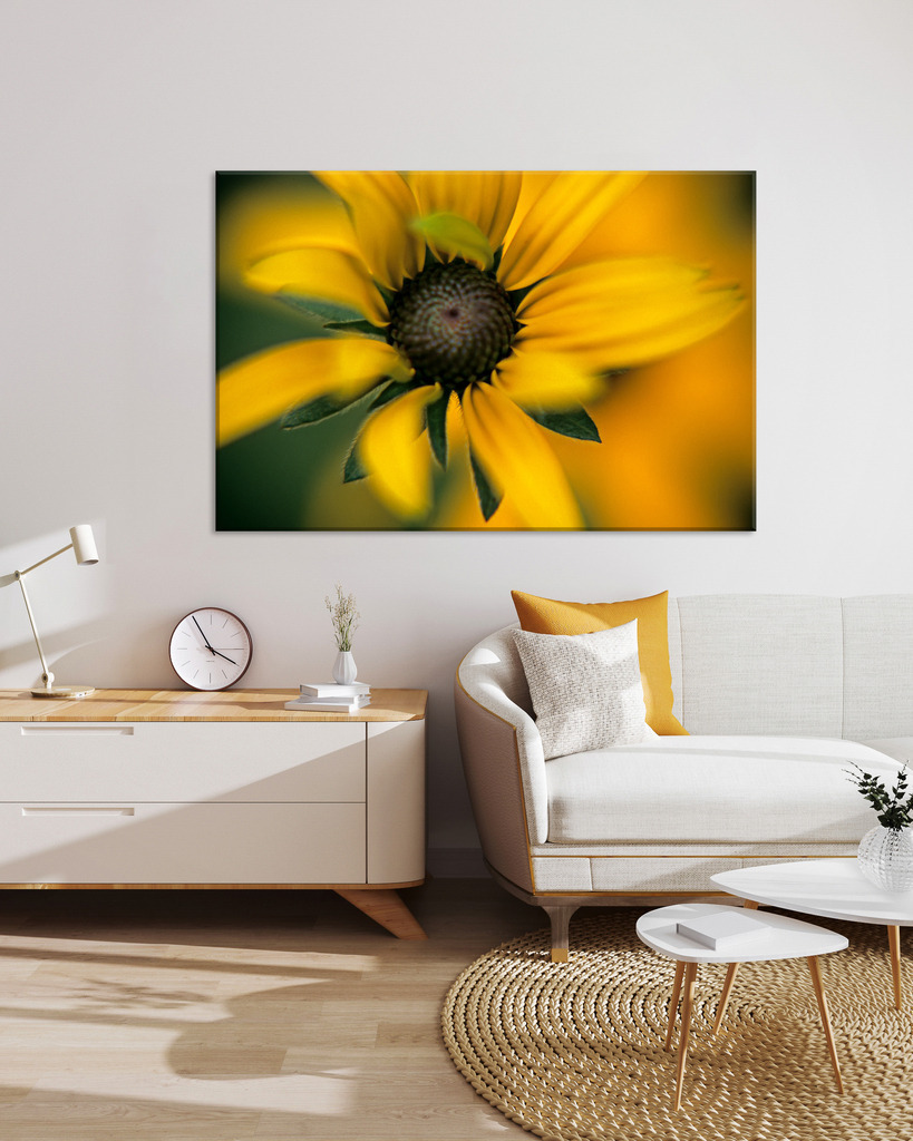 Gelbe Blüte einer Rudbeckia (Sonnenhut) zur Gestaltung des Wohnbereichs | Eine leuchtend gelber Blüte für Ihr Wohnzimmer. Sie finden dieses Motiv in der Galerie Farben und Formen - Blütenpracht (https://shop.soulimages.eu/img/dhi1df). - Realisiert mit Pictrs.com