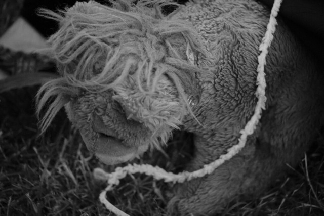 003Ozora-_XP34789 | blende43