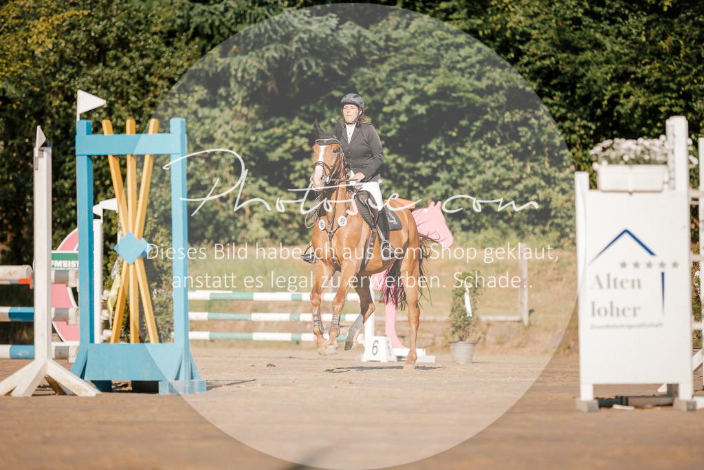 3I6A6159 | Stimmungsvolle Portraits und Reitsportfotografie im Ruhrgebiet und im Münsterland.

Pferdefotografie, Hundefotografie, Tierfotografie, Reportagen, Portraits von Tier und Mensch, Turnierfotografie in Bochum, Recklinghausen, Marl, Haltern am See, Dülmen.. - Realisiert mit Pictrs.com
