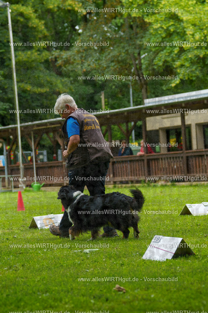 @allesWIRTHgut_Tierfotografie - www.allesWIRTHgut.de - 091526-7R506821 | Professionelle Tierfotografie in Mönchengladbach von Daniel Wirth (allesWIRTHgut). Liebevolle & natürliche Bilder von Hunden & Katzen für unvergessliche Erinnerungen.