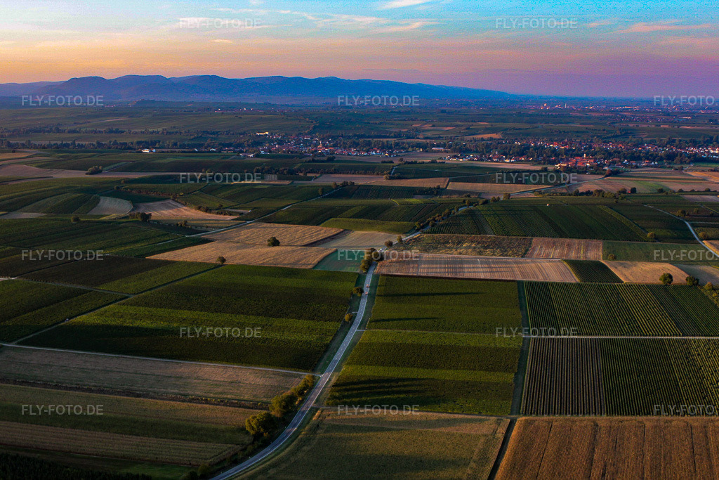 Luftbild: L544 durch Felder und Weinberge im Ortsteil Ingenheim in Billigheim-Ingenheim im Bundesland Rheinland-Pfalz in Deutschland. Foto: IMG_21275.jpg vom 23.09.2009 durch Werner Riehm/FLY-FOTO.de