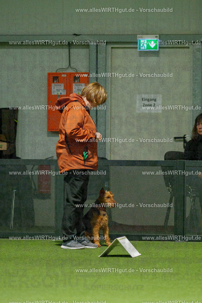 7R509197 | Professionelle Tierfotografie in Mönchengladbach von Daniel Wirth (allesWIRTHgut). Liebevolle & natürliche Bilder von Hunden & Katzen für unvergessliche Erinnerungen.