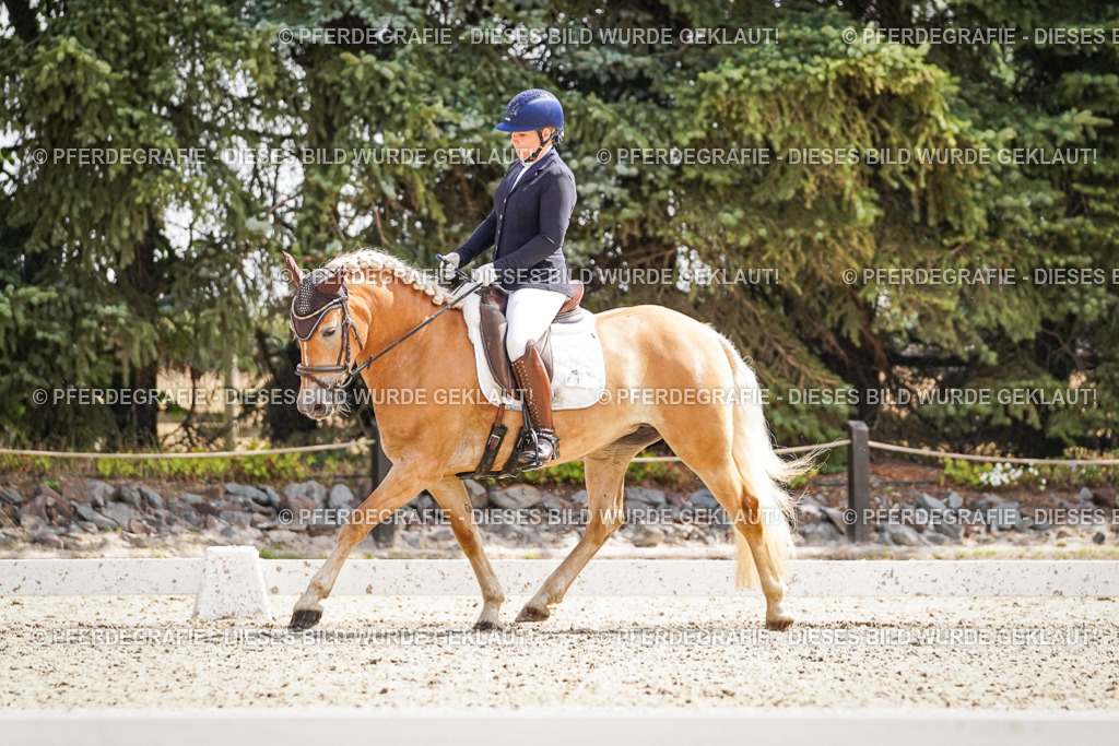 DSC09475 | Pferdegrafie