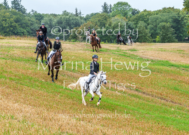 Jagd Kletkamp 26-02889_MarinaHewig | Fotografie, FotoArt, PferdesportArt, Pferdesportfotografie, Landschaftsfotografie, Reisefotografie, Reise, Pferde - Realisiert mit Pictrs.com