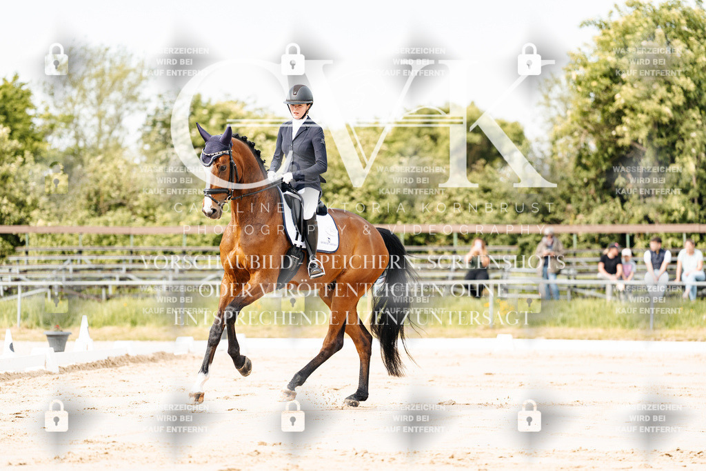CK900698 | Turnierfotografie Pferdefotografie Trier Rheinland-Pfalz Pferdesport Reitsport Tierfotografie Sportfotografie Pferdevideo Pferdevideografie Equestrianvideography equestrianphotography  - Realisiert mit Pictrs.com