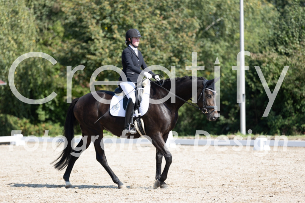 IMG_4003 | Creatify Fotografie