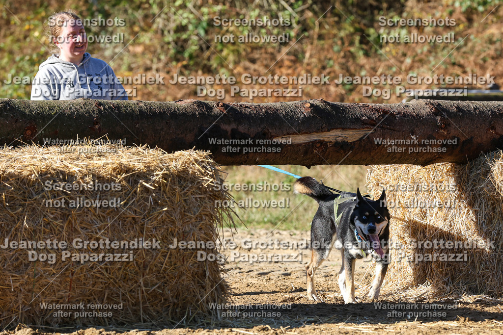 Dog Paparazzi - Strongdog 10-25-2003 | Dog Paparazzi Jeanette Grottendiek Fotografie & Videografie - Realisiert mit Pictrs.com