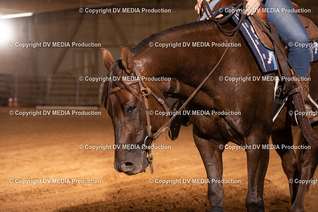 NID01079 | dv-media-shop - Realisiert mit Pictrs.com