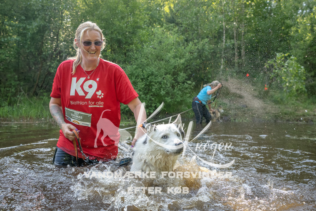 1749DKK992836 | kk-dogfotos