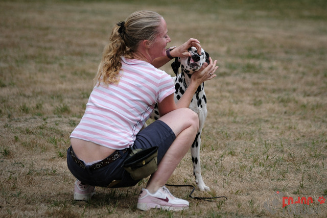 Dalmatiner Hilden | Dalmatiner, Regionalgruppenausstellung Regio West Hilden. Richterin Sivia Weber-Martegani.  in Hilden  03.09.2022 Foto: Leo Wyden