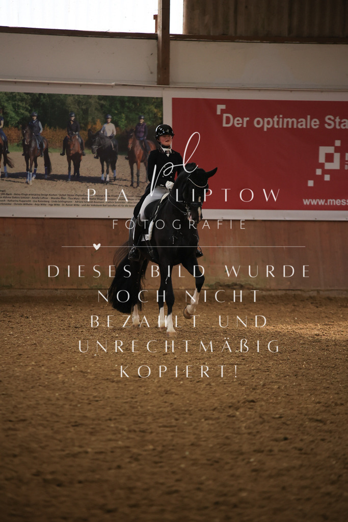 IMGT5469 | pl-fotografie