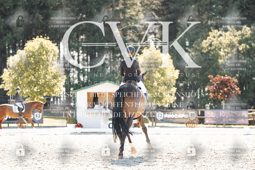 CK905902 | Turnierfotografie Pferdefotografie Trier Rheinland-Pfalz Pferdesport Reitsport Tierfotografie Sportfotografie Pferdevideo Pferdevideografie Equestrianvideography equestrianphotography  - Realisiert mit Pictrs.com