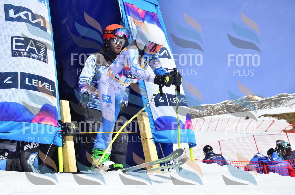 _ELE0503 | holidayphoto