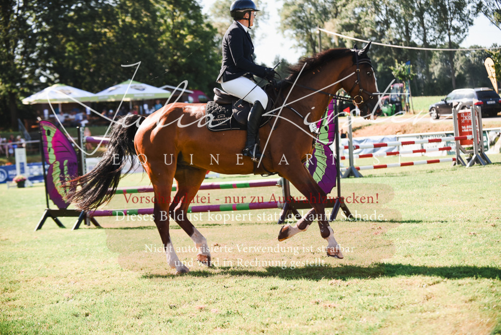 DSC_2459 | Pferde- und Turnierfotografie in Westsachsen. Pferdeportraits, Auftragszeichnungen und intuitive Kunst.