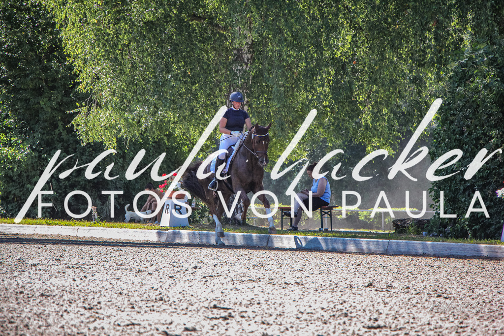 IMG_9875 | Erleben Sie dynamische Sport- und emotionale Tierfotografie in Süddeutschland mit Fotos von Paula. Spezialisiert auf Pferde- und Hundefotografie sowie Sportevents. Kontaktieren Sie mich für einzigartige und ausdrucksstarke Bilder Ihrer besonderen Momente.