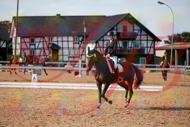 2026_10_03_Siefer-Hof_132313_Z63_84590715 | Professionelle Reitsport-, Turnier- und Eventfotografie von Robert Broda. Galerien mit ausgewählten und bearbeiteten Bildern direkt online ansehen und bestellen.